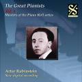 Grands pianistes, vol. 8 - Artur Rubinstein