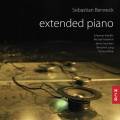 Sebastian Berweck : Extended piano.