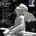 Bach : Motets. Scott.