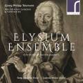Telemann : Canons mélodieux et fantaisies. Ensemble Elysium.