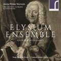 Telemann : Canons mlodieux et fantaisies. Ensemble Elysium.