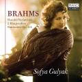 Brahms: Handel Variations, 2 Rhapsodies, Fantasien