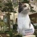 Joe Cutler : Hawaii Hawaii Hawaii. Clowes, Boerman, Palmer.