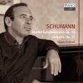 Robert Schumann : Etudes Symphoniques Op. 13 - Fantasie Op. 17