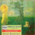 Busoni : Piano works. Blumenthal, D.