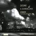 Desire - Bach J.S. & J.C. : Cantates. Il Gardellino, Ponseele.