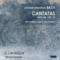 Bach : Cantates BWV 146 - 103 - 33. Il Gardellino, Ponseele.
