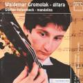 Waldemar Gromolak - guitar, Steffen Hlsenbeck - mandolin