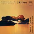 Johannes Brahms - String Quintet and Sextet