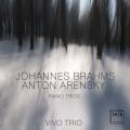 Brahms, Arensky : Trios pour piano. Vivo Trio.