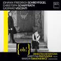 Schreyfogel, Schaffrath, Visconti : Concertos pour violon et pour clavecin. Pastuszka, Swiatkiewicz.