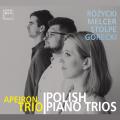 Rózycki, Melcer, Stolpe, Górecki : Trios pour piano. Apeiron Trio.