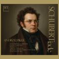 Schubert : uvres vocales et instrumentales. Pikul, Debowska-Jaroszek, Olszynska, Cal, Domarecki, Komendarek-Tymendorf, Malovichko.