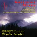 Krzysztof Meyer : Musique de chambre. Gajewska, Meyer, Quatuor Wilanow.