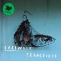 Cakewalk : Transfixed