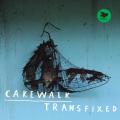 Cakewalk : Transfixed