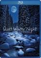Hoff Ensemble : Quiet Winter Night