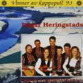 Edgar Orkester Heringstad : Langs Stjrdalselva