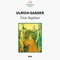 Gasser : Visio Stephani