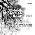 Bach : Cantates pour basse. Gli Angeli, Macleod.