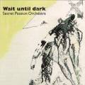 Secret Passion Orchestra : Wait until dark