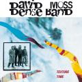 David Moss Dense Band : Texture Time