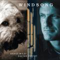 David Wildi , Guitar Poetry : Windsong