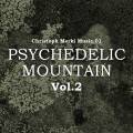 Christoph Merki Music.01 : Psychedelic Mountain Vol.2