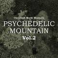 Christoph Merki Music.01 : Psychedelic Mountain Vol.2