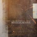 Philipp Brmswig Trio : Molecular Soul