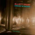 Elliott Sharp : Concert in Dachau