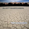 Elliott Sharp : Void Coordinates