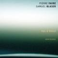Pierre Favre : Vol  Voile