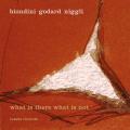 Biondini : What Is There What Is Not