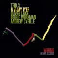 Trio 3 : Wiring