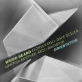 Florian Egli Weird Beard : Orientation