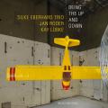 Silke Eberhard Trio : Being the up and Down
