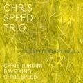 Chris Speed Trio : Despite Obstacles