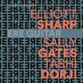 Elliott Sharp : Ere Guitar