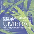 Elias Stemeseder : Umbra II