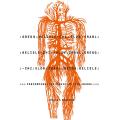 Gregg Belisle-Chi : Slow Crawl, Performing the Music of Tim Berne.