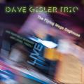 Dave Gisler Trio : The Flying Mega Dog House, Live.