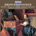 Johann Sebastian Bach : Sonates pour violes de jambes et clavecin forc. Gini, Alvini.