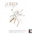 Bach : Italienischer Gusto - Concertos divers. Sasso.