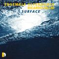 Ricardo Nillni : Surface. Ensemble Alternance.