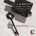 Bach : Trios pour 2 fltes  bec et clavecin. Cavasanti, Padoan.