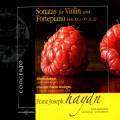 Haydn : Sonates pour violon et pianoforte. Bologni, Modugno.