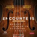 Brahms, Hindemith, Schumann, Enescu : Œuvres pour alto et piano. Riquelme, Bagaria.