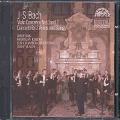 Johann Sebastian Bach : Concertos pour violon