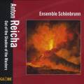 Anton Reicha : Musique de chambre. Schnbrunn Ensemble.